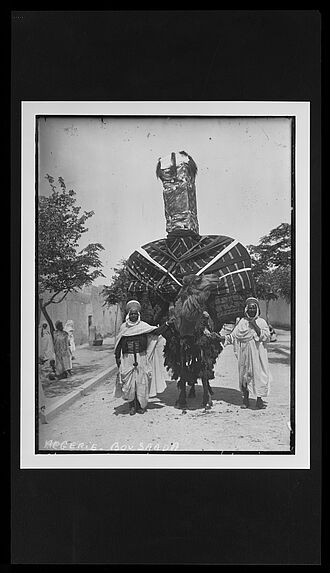 Sans titre [chameau portant un palanquin lors d'une cérémonie]