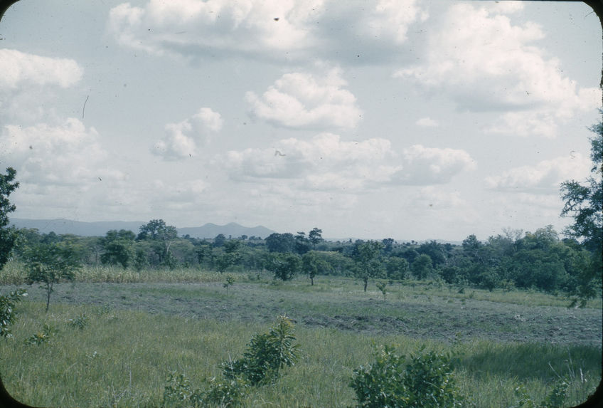 Nord Tolo [savane arborée]