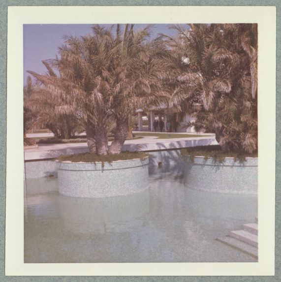 Skanès [piscine et palmiers]