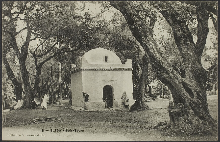 Blida - Bois Sacré