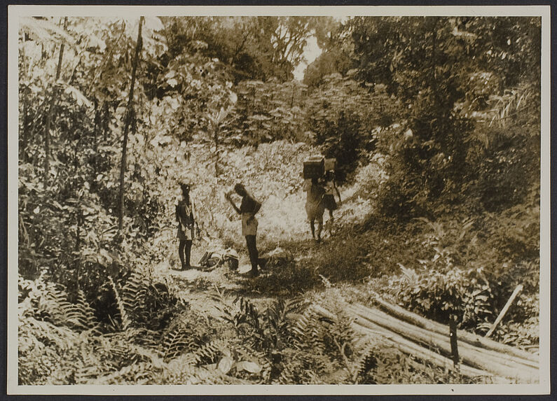 Mission IFAN Dekeyser-Holas au Libéria en 1948 [Porteurs dans la forêt]