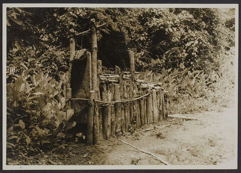 Une trappe à léopard dans l'Intérieur libérien (Mission IFAN Dekeyser-Holas au Libéria en 1948)