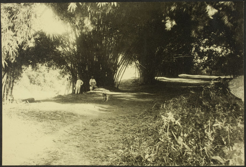 A Edéa, dans l'île, vers 1925