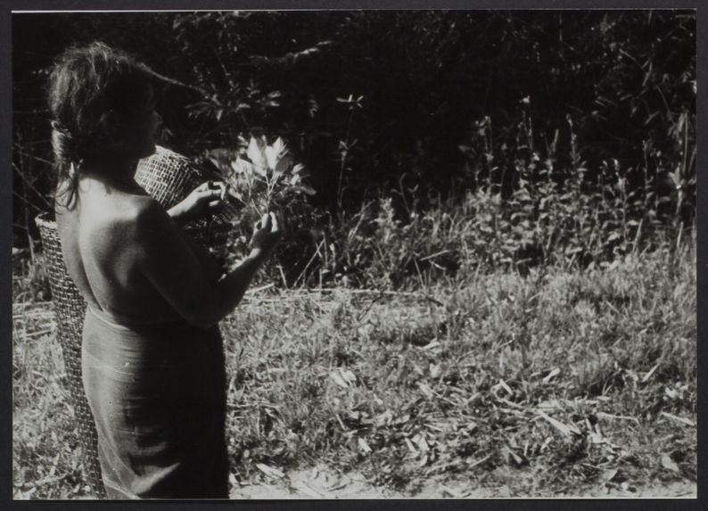 Sans titre [femme tenant une branche de feuilles dans la main]