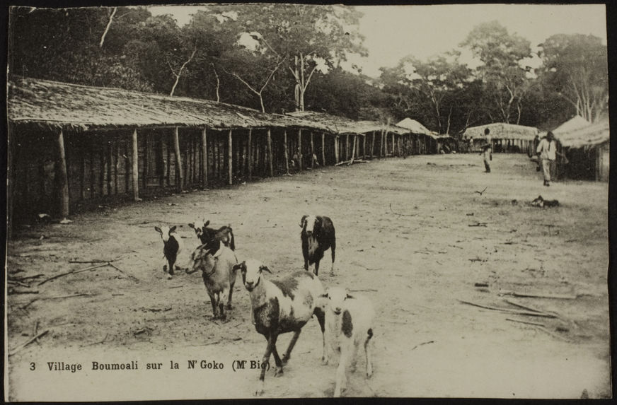 3. Village Boumoali sur la N' Goko (M'Bio)