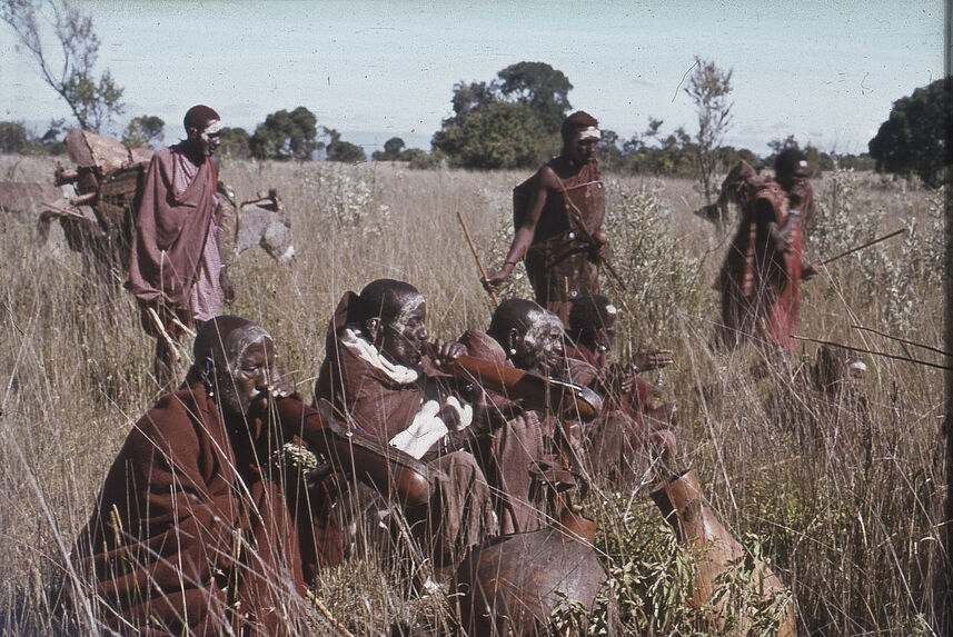 Sans titre [groupe de Maasaï et âne dans les hautes herbes]