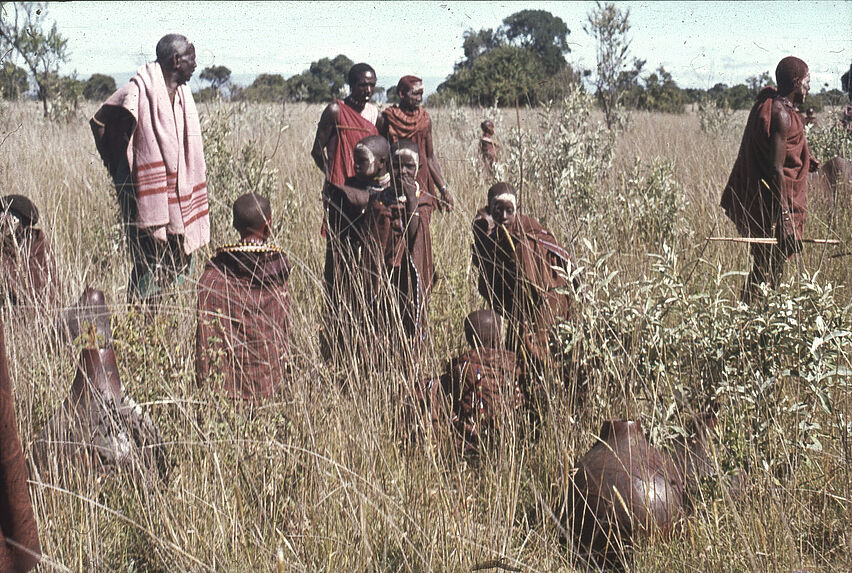 Sans titre [groupe de Maasaï dans les hautes herbes]