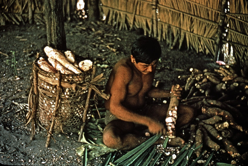 Epluchage des racines de manioc
