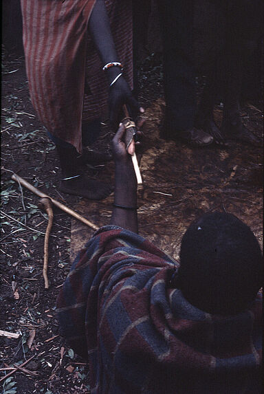 Bande film de six vues concernant des Maasaï lors d'une cérémonie