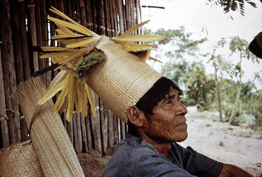 Coiffure d'homme ornée de dépouilles d'oiseaux