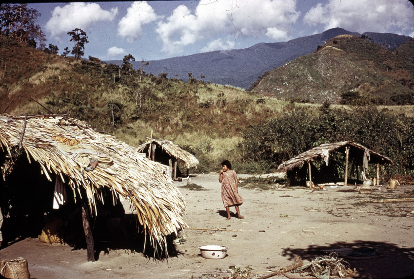 Village traditionnel Yukpa