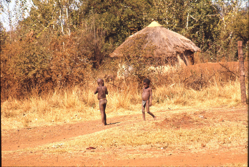 Habitations tswana