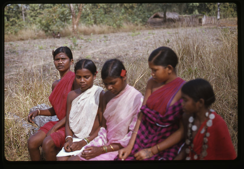 Madhya Pradesh : danse des bisons + instruments