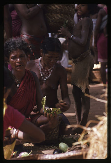 Madhya Pradesh, diverses régions : activités, sanctuaires, paysages, pélerinages