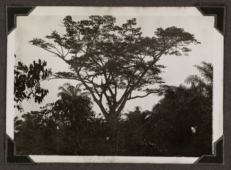 Sans titre [album de photographies sur le Congo français de 1910 à 1933]