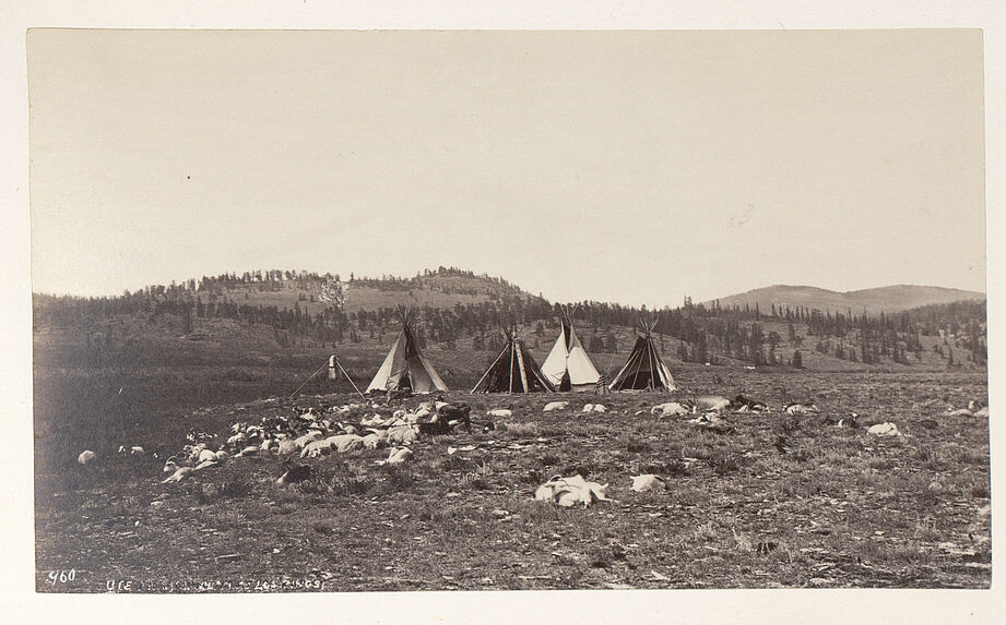 Ute encampment
