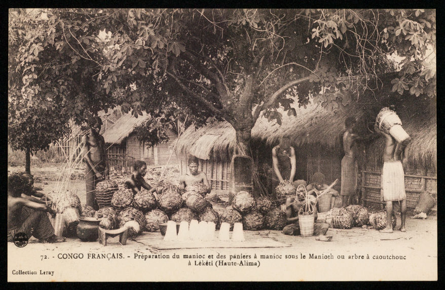 Préparation du manioc et des paniers à manioc sous le Manioth ou arbre à caoutchouc à Lékéti