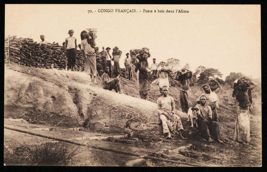 Poste à bois dans l'Alima