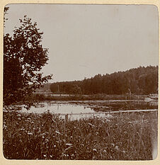 L'étang de Talaschkino