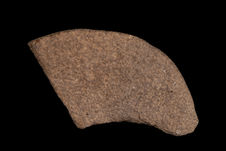 Pelle (fragment)