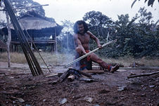 Homme faisant sécher des roseaux à flèches
