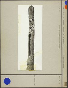 Ile Malekula. Tambour sculpté dans un tronc d'arbre