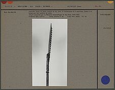 Javelot : hampe en bois, pointe en os, 12 barbelures