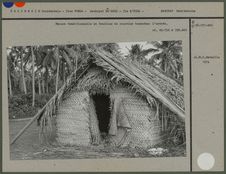 Maison traditionnelle en feuilles de cocotier tressées : l'entrée