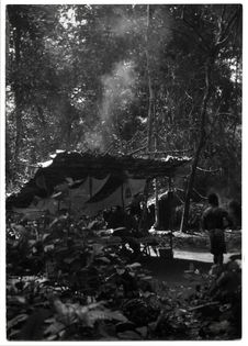 L'abri des explorateurs à quelques mètres des huttes des pygmées Babenzelé