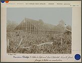 Plantation de tabac à Stefansort