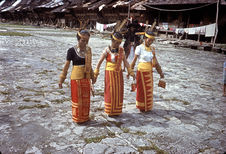 Danse traditionnellle des femmes