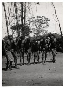 Les pygmées dansent. Djoboko