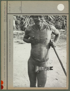 Indien Bororo portant un noeud de pénis de cérémonie
