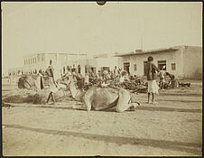 Marché de Djibouti
