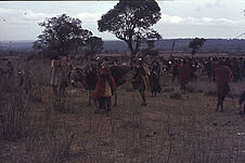 Sans titre [groupe de Maasaï accompagnés d'ânes portant une charge]