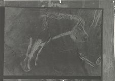 Peinture de cheval de Niaux