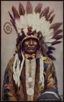 Chief Charging Bear