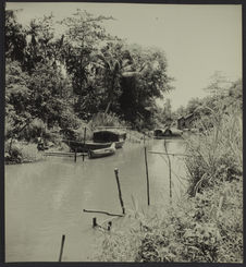 Sans titre [Siam Réap. Sampan à gauche. Rivière dans la forêt d'Angkor]