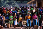 Hmong Blanc au marché de Méo Vac