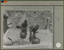 Femmes préparant des boules d'oignons