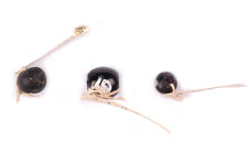 Trois perles noires