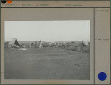 Un campement après la pluie dans un Oued au Hoggar
