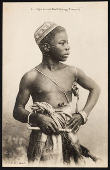 Type de race Bavili (Congo Français)