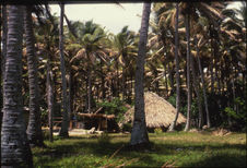 Festival des Arts du Pacifique