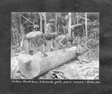 Indios Guahibos, labrando palo para canoa
