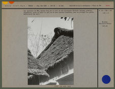 Bambous fixés sur les toits aux approches du Têt