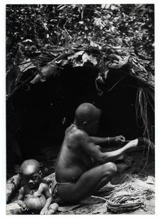 La vieille Kolé, une pygmée prépare des fibres