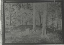 Dolmen sous tumulus de Freslev skov