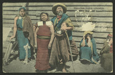 Mapuches, Indios araucanos