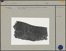 Bloc de basalte portant une inscription